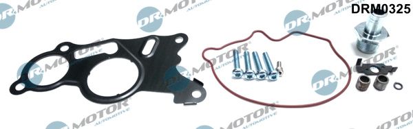 DR.MOTOR AUTOMOTIVE Ремкомплект, вакуумный насос (тормозная установка) DRM0325